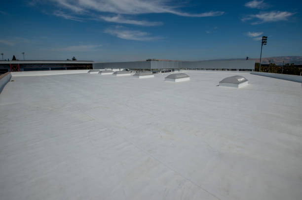 Best Roof Coating and Sealing  in Newburgh Heights, OH