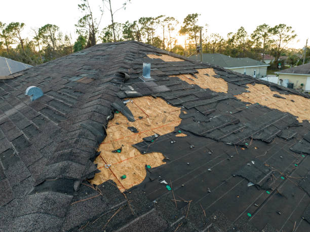 Best Asphalt Shingle Roofing  in Newburgh Heights, OH